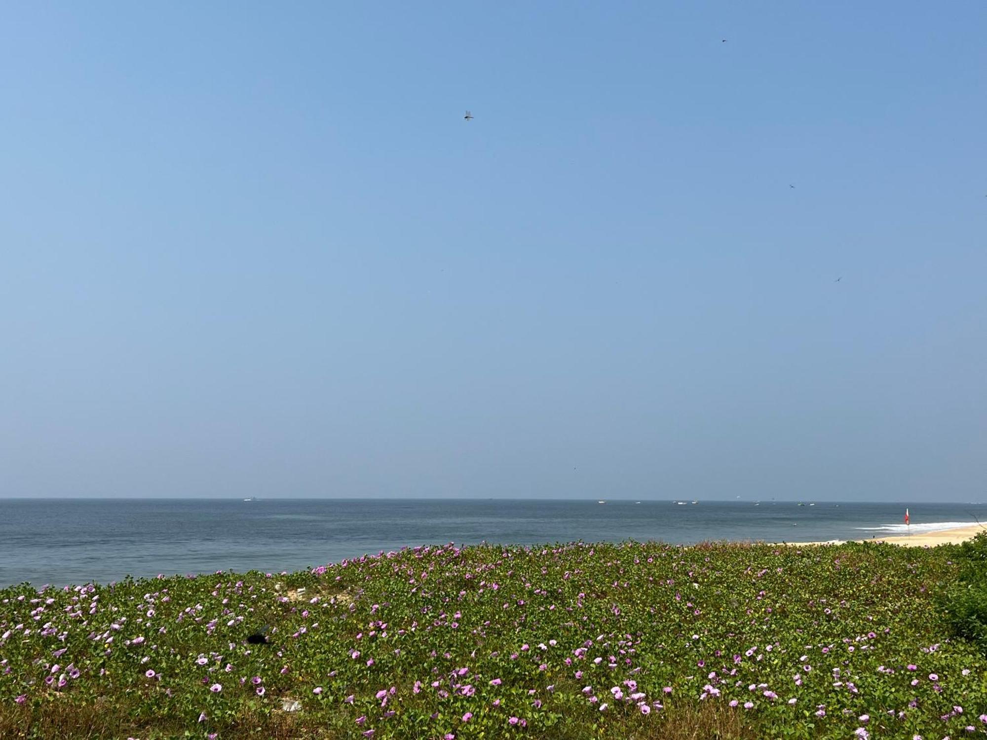 Coco Inn Goa Candolim Ngoại thất bức ảnh
